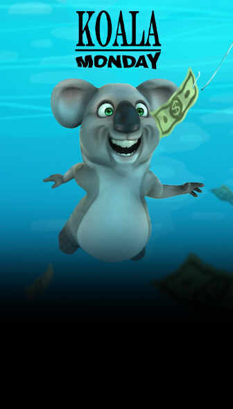 Koala Monday promotion art